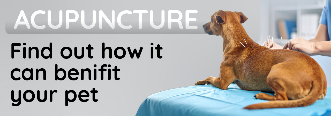 Acupuncture