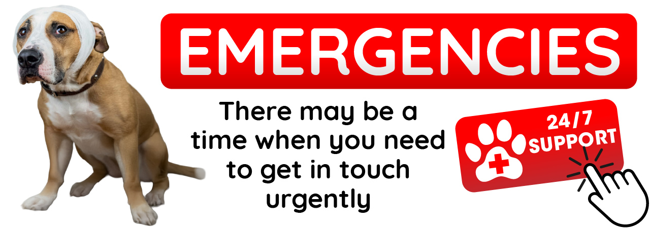 Emergencies