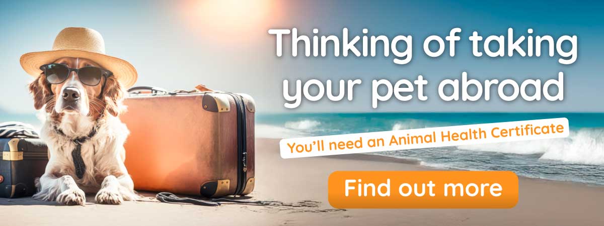 Animal Health Certificate